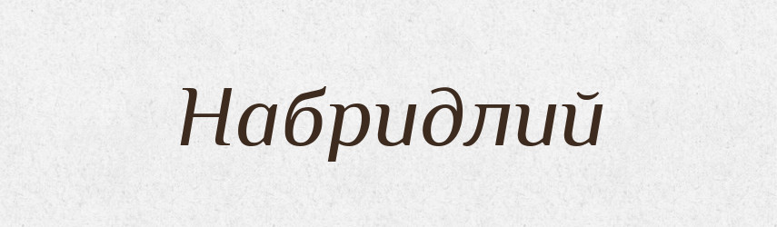 Набридлий — Великий тлумачний словник сучасної української мови
