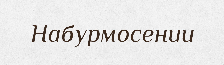 Набурмосении — Великий тлумачний словник сучасної української мови