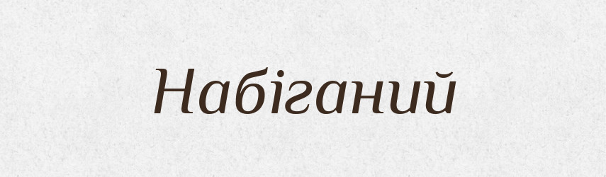 Набіганий — Великий тлумачний словник сучасної української мови