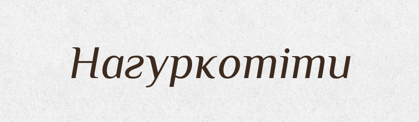 Нагуркотіти — Великий тлумачний словник сучасної української мови