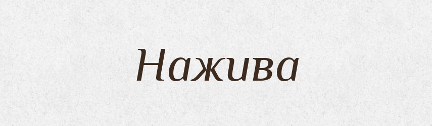 Нажива — Великий тлумачний словник сучасної української мови