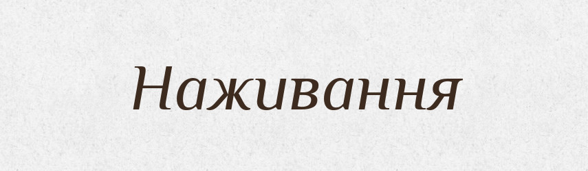 Наживання — Великий тлумачний словник сучасної української мови