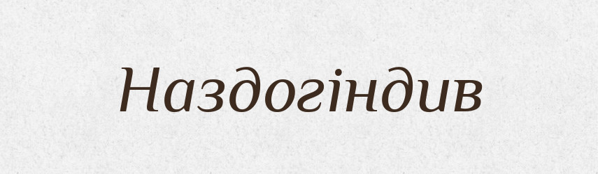 Наздогіндив — Великий тлумачний словник сучасної української мови
