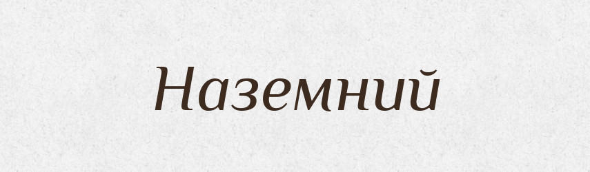 Наземний — Великий тлумачний словник сучасної української мови