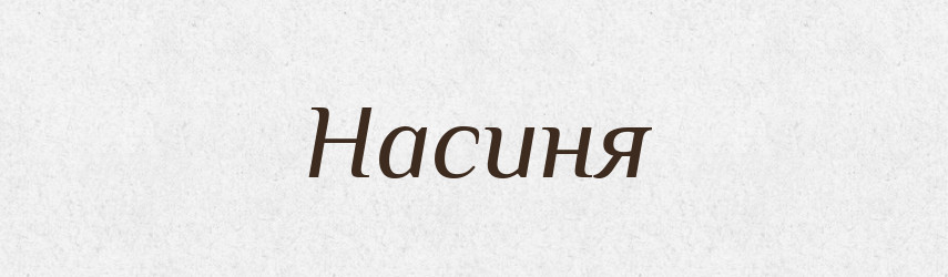 Насиня — Великий тлумачний словник сучасної української мови