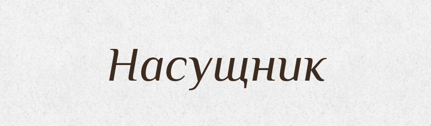Насущник — Великий тлумачний словник сучасної української мови