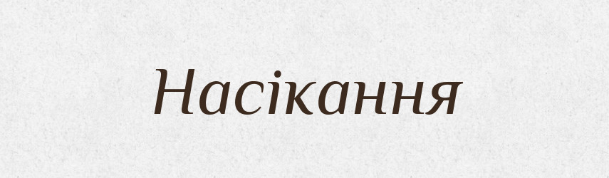 Насікання — Великий тлумачний словник сучасної української мови