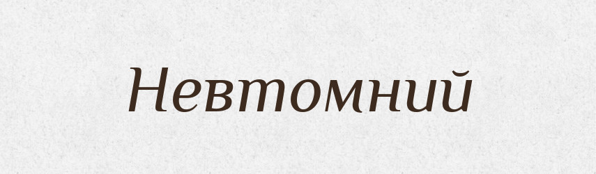 Невтомний — Великий тлумачний словник сучасної української мови