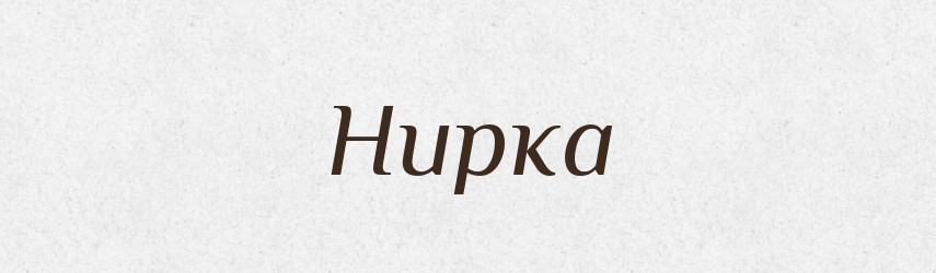 Нирка — Великий тлумачний словник сучасної української мови
