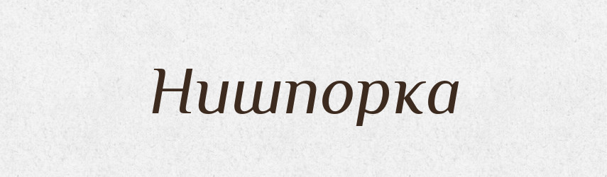 Нишпорка — Великий тлумачний словник сучасної української мови
