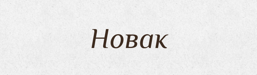 Новак — Великий тлумачний словник сучасної української мови
