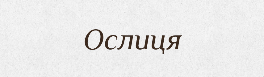 Ослиця — Великий тлумачний словник сучасної української мови