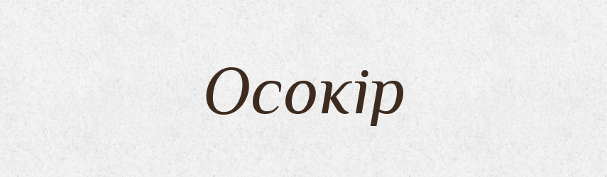 Осокір — Великий тлумачний словник сучасної української мови