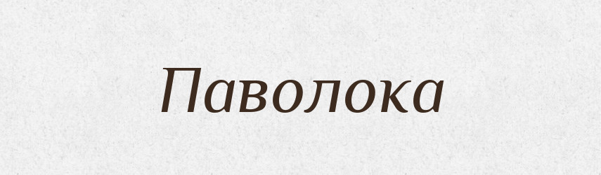 Паволока — Великий тлумачний словник сучасної української мови