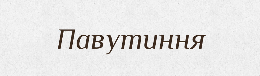 Павутиння — Великий тлумачний словник сучасної української мови