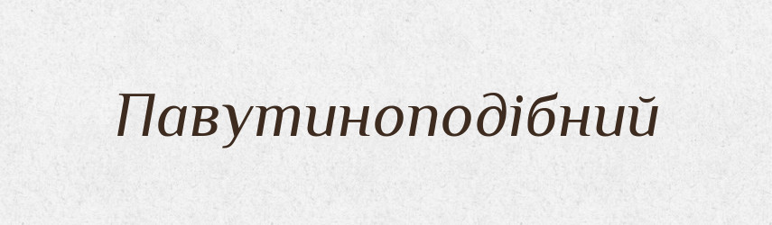 Павутиноподібний — Великий тлумачний словник сучасної української мови