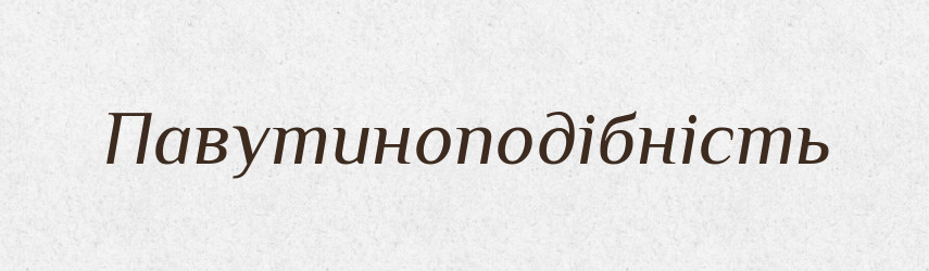 Павутиноподібність — Великий тлумачний словник сучасної української мови