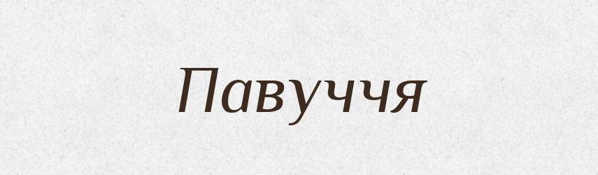 Павуччя — Великий тлумачний словник сучасної української мови