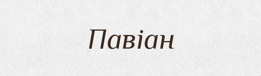 Павіан — Великий тлумачний словник сучасної української мови