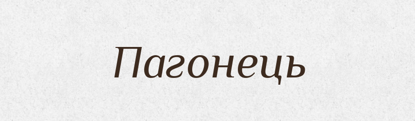Пагонець — Великий тлумачний словник сучасної української мови