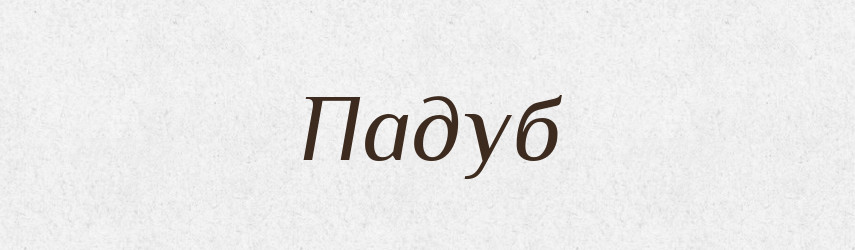 Падуб — Великий тлумачний словник сучасної української мови