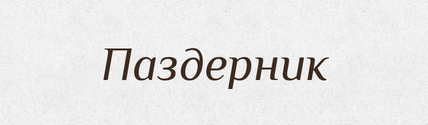 Паздерник — Великий тлумачний словник сучасної української мови