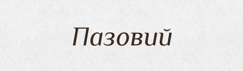 Пазовий — Великий тлумачний словник сучасної української мови