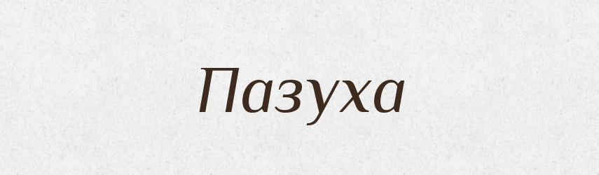 Пазуха — Великий тлумачний словник сучасної української мови