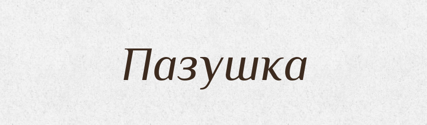 Пазушка — Великий тлумачний словник сучасної української мови