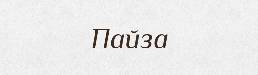Пайза — Великий тлумачний словник сучасної української мови