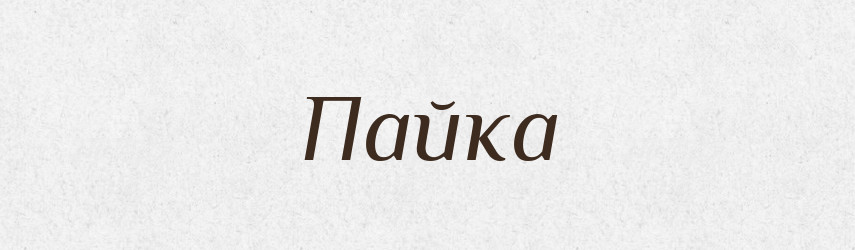Пайка — Великий тлумачний словник сучасної української мови