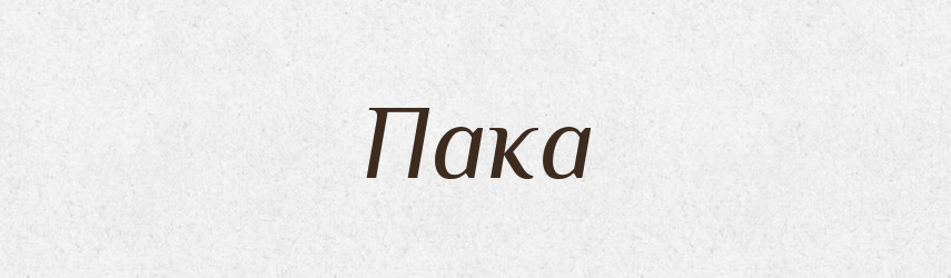 Пака — Великий тлумачний словник сучасної української мови