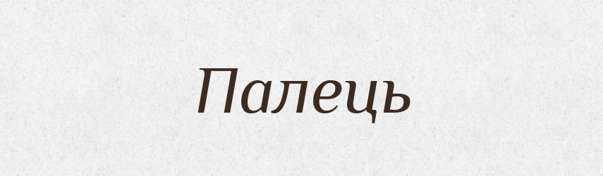 Палець — Великий тлумачний словник сучасної української мови