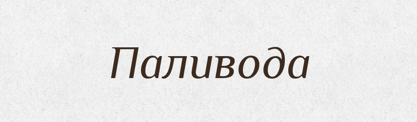 Паливода — Великий тлумачний словник сучасної української мови