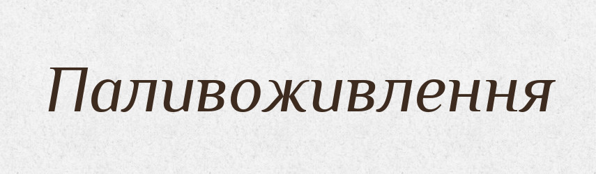 Паливоживлення — Великий тлумачний словник сучасної української мови