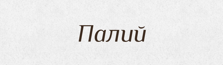 Палий — Великий тлумачний словник сучасної української мови