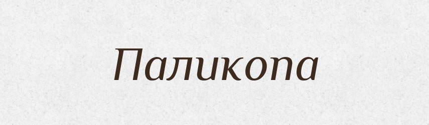 Паликопа — Великий тлумачний словник сучасної української мови