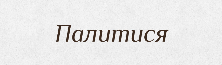 Палитися — Великий тлумачний словник сучасної української мови