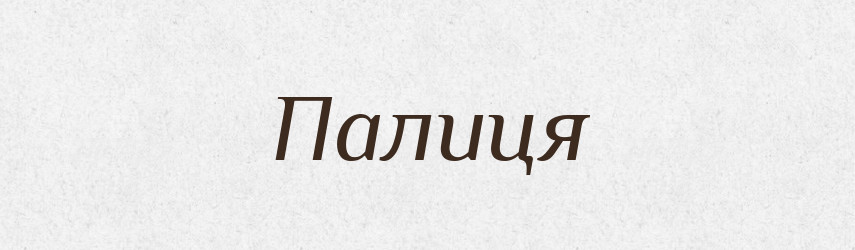 Палиця — Великий тлумачний словник сучасної української мови
