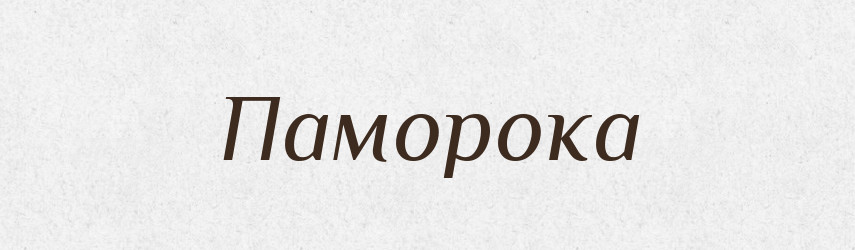 Паморока — Великий тлумачний словник сучасної української мови