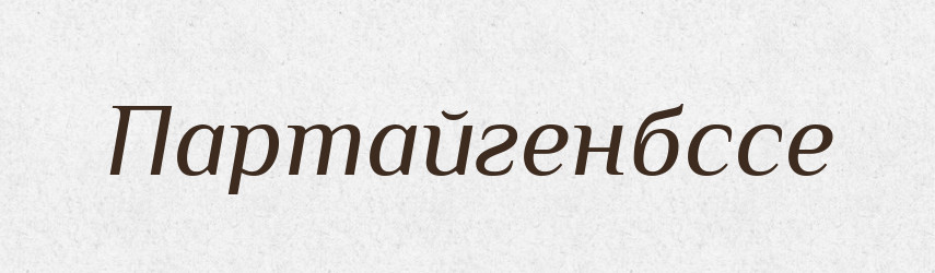 Партайгенбссе — Великий тлумачний словник сучасної української мови