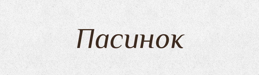 Пасинок — Великий тлумачний словник сучасної української мови