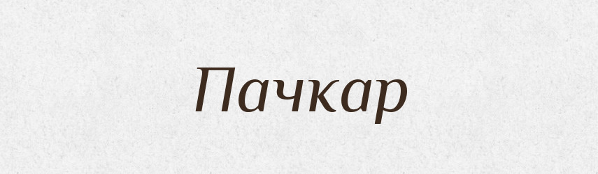 Пачкар — Великий тлумачний словник сучасної української мови