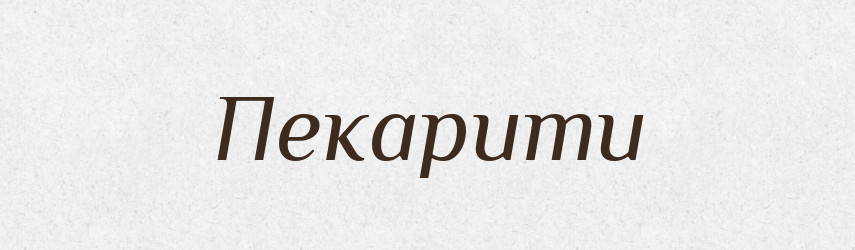 Пекарити — Великий тлумачний словник сучасної української мови