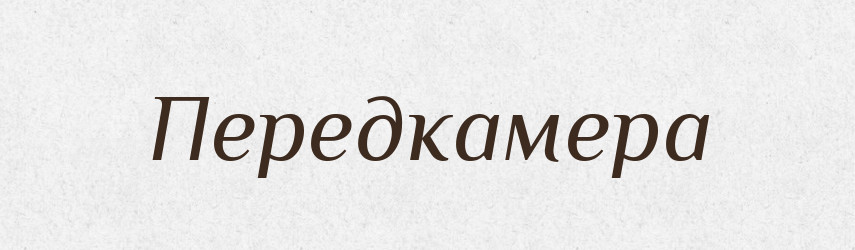 Передкамера — Великий тлумачний словник сучасної української мови