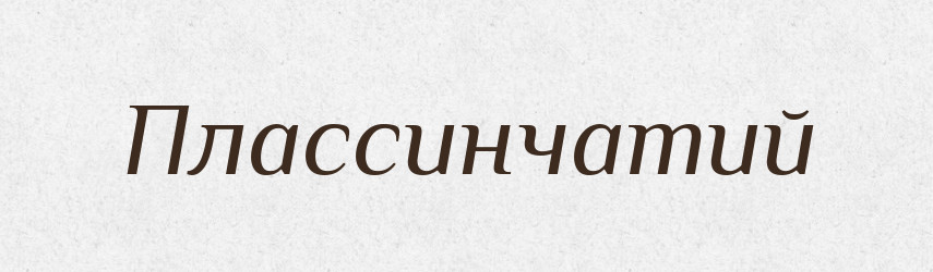Плассинчатий — Великий тлумачний словник сучасної української мови