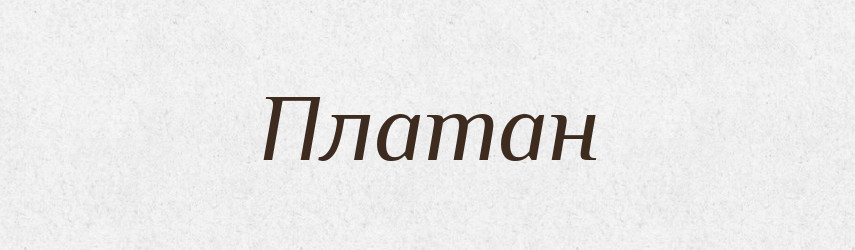 Платан — Великий тлумачний словник сучасної української мови