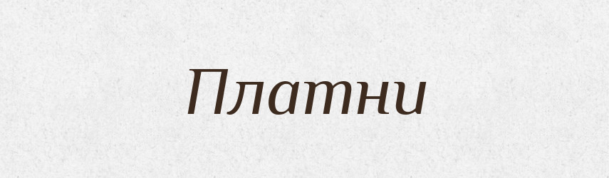 Платни — Великий тлумачний словник сучасної української мови