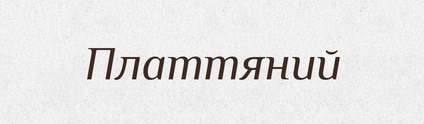 Платтяний — Великий тлумачний словник сучасної української мови