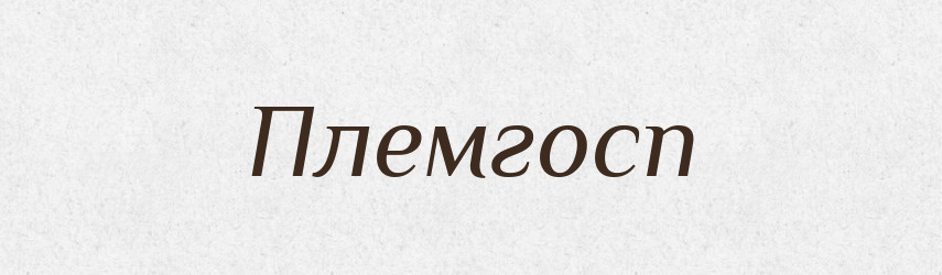Племгосп — Великий тлумачний словник сучасної української мови